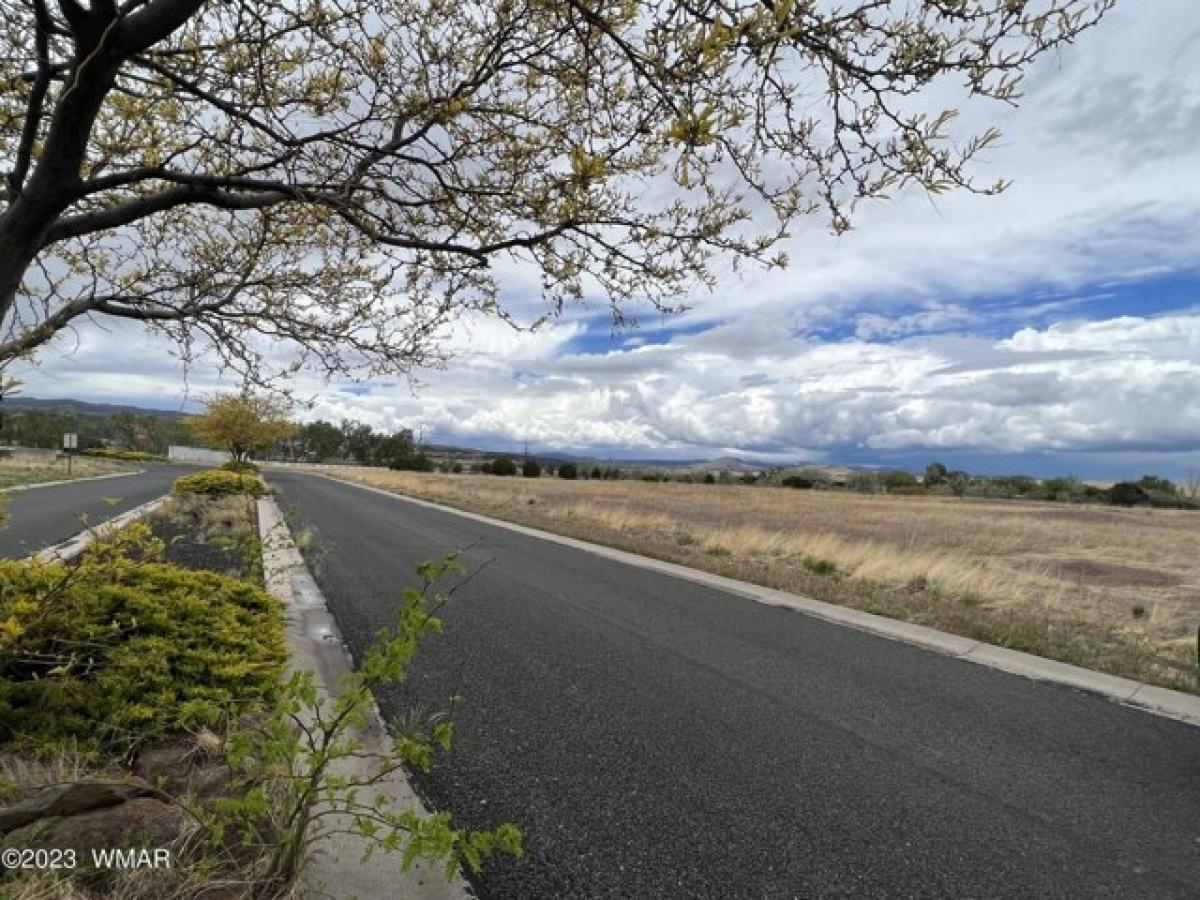 Picture of Residential Land For Sale in Eagar, Arizona, United States
