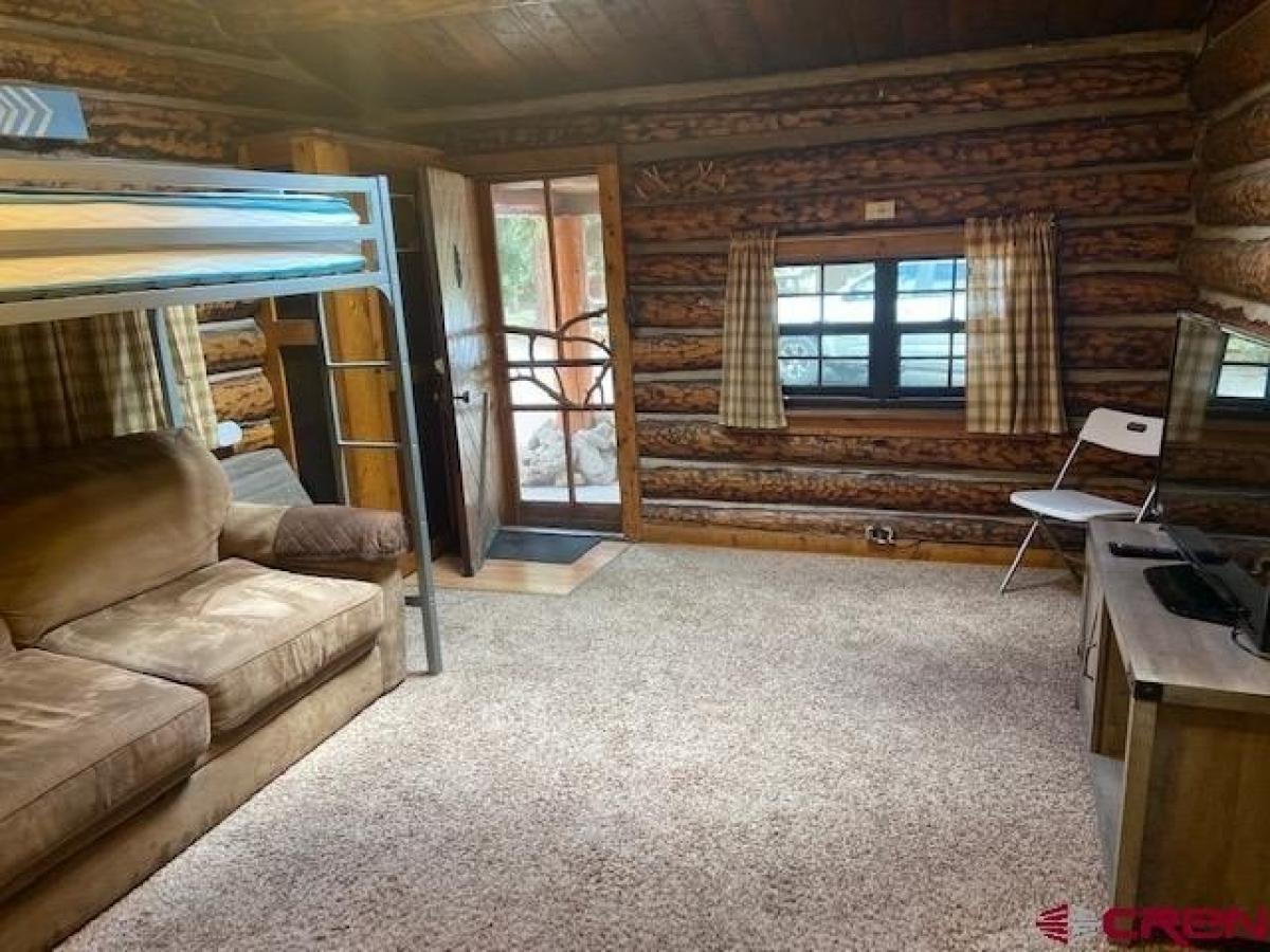 Picture of Home For Sale in South Fork, Colorado, United States