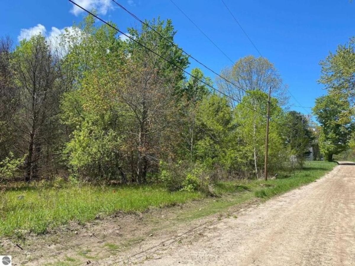 Picture of Residential Land For Sale in Traverse City, Michigan, United States