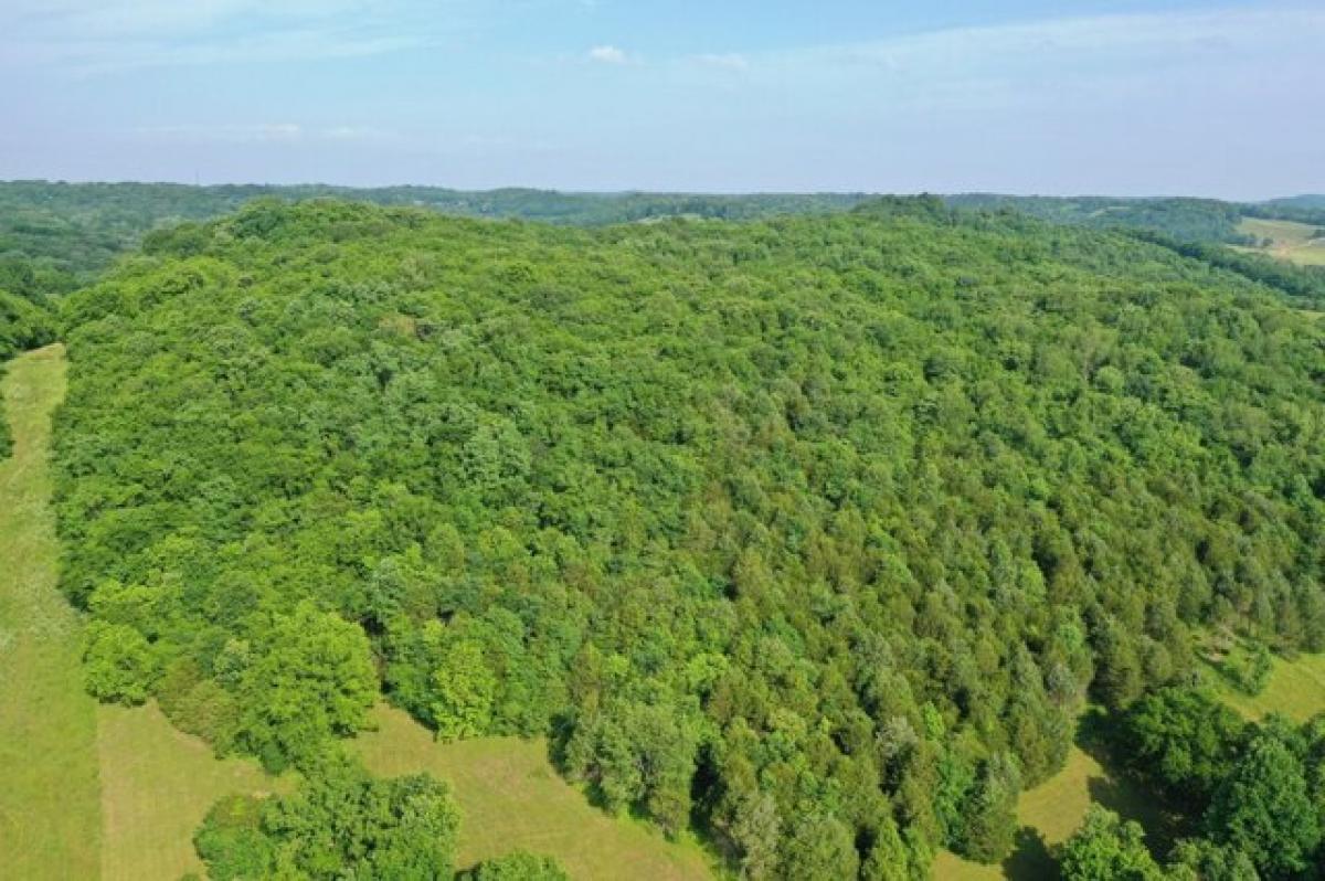 Picture of Residential Land For Sale in Culleoka, Tennessee, United States