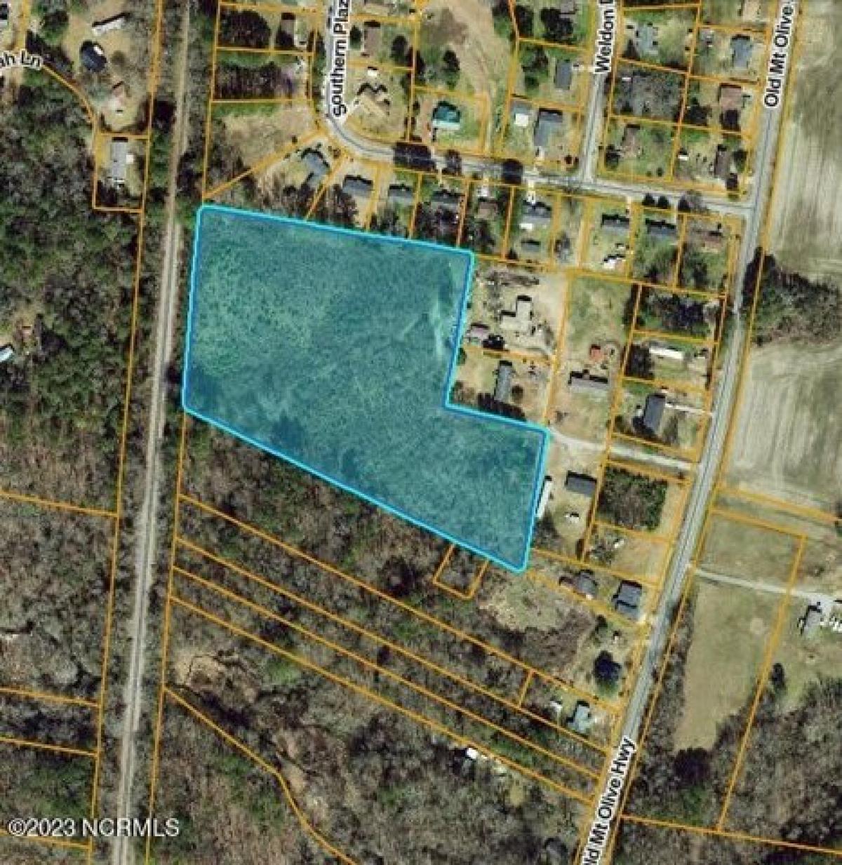 Picture of Residential Land For Sale in Dudley, North Carolina, United States