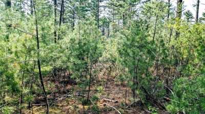 Residential Land For Sale in Ridgeland, Wisconsin