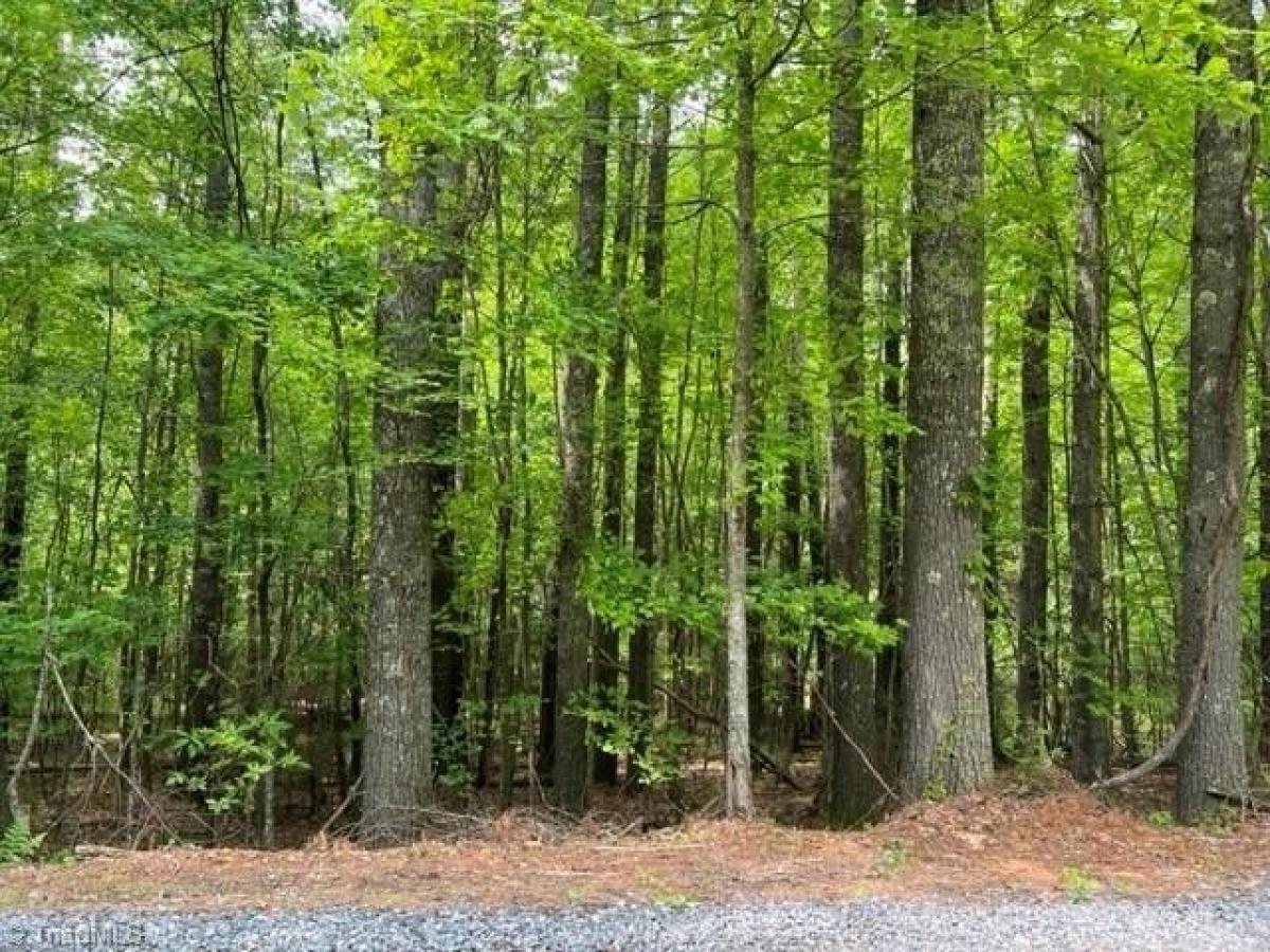 Picture of Residential Land For Sale in West Jefferson, North Carolina, United States