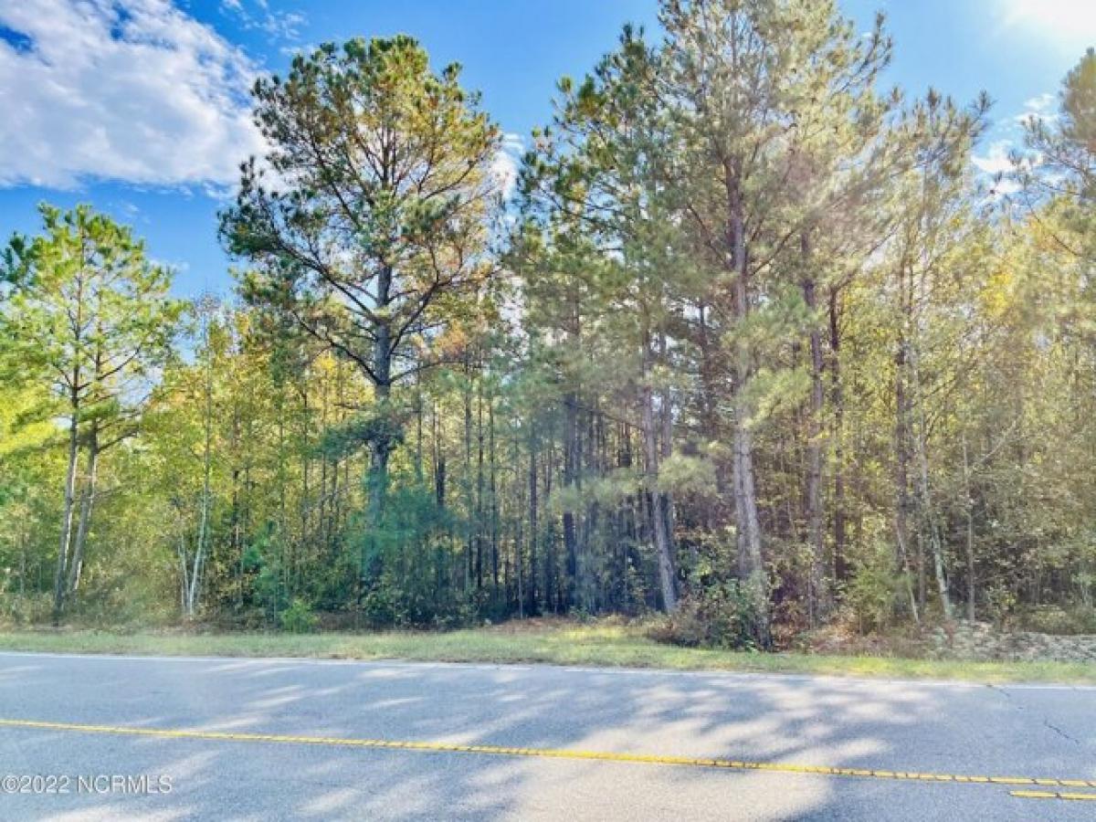 Picture of Residential Land For Sale in Autryville, North Carolina, United States