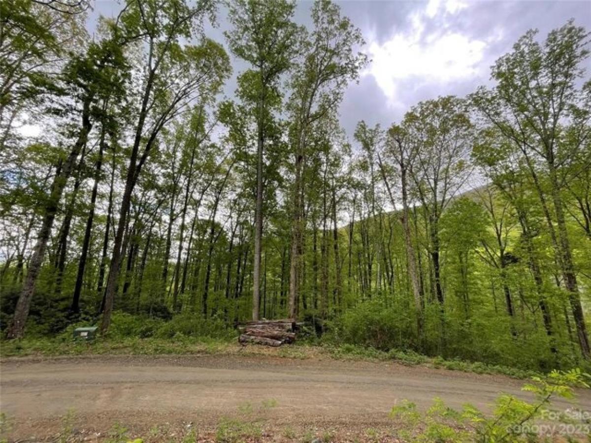 Picture of Residential Land For Sale in Swannanoa, North Carolina, United States