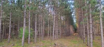 Residential Land For Sale in New Lisbon, Wisconsin