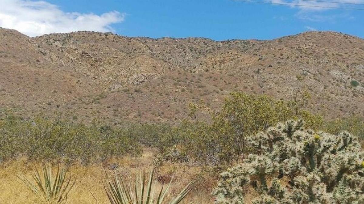 Picture of Residential Land For Sale in Morongo Valley, California, United States