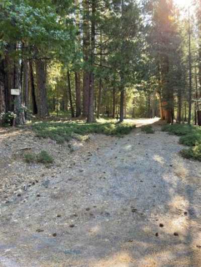 Residential Land For Sale in Arnold, California