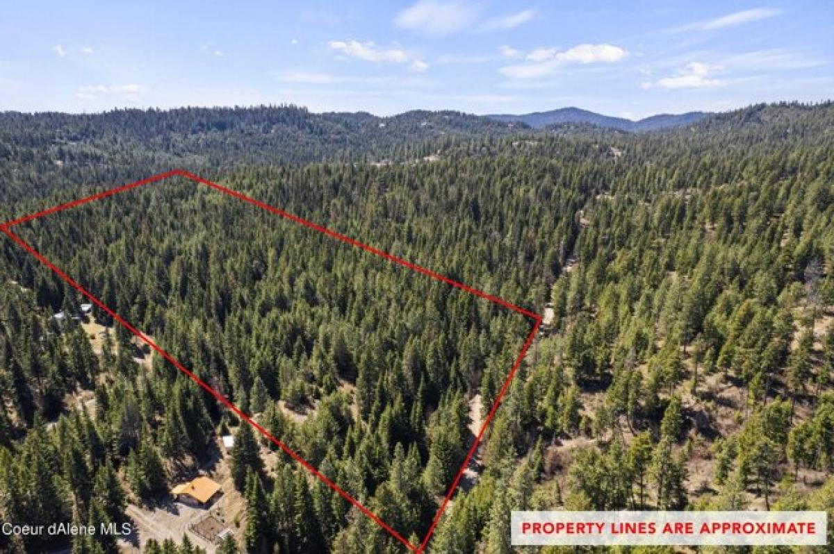 Picture of Residential Land For Sale in Newman Lake, Washington, United States
