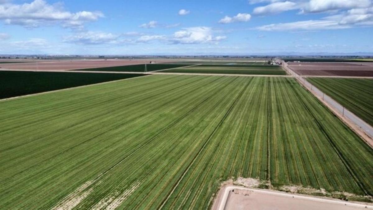 Picture of Residential Land For Sale in Holtville, California, United States