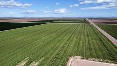 Residential Land For Sale in Holtville, California