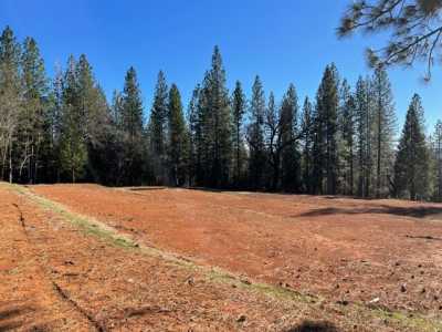 Residential Land For Sale in Nevada City, California