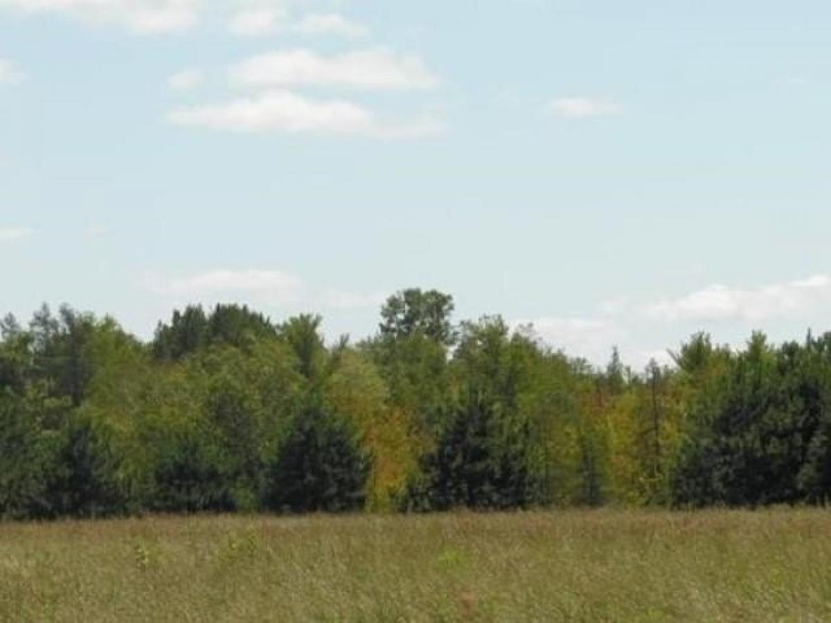 Picture of Residential Land For Sale in Custer, Wisconsin, United States