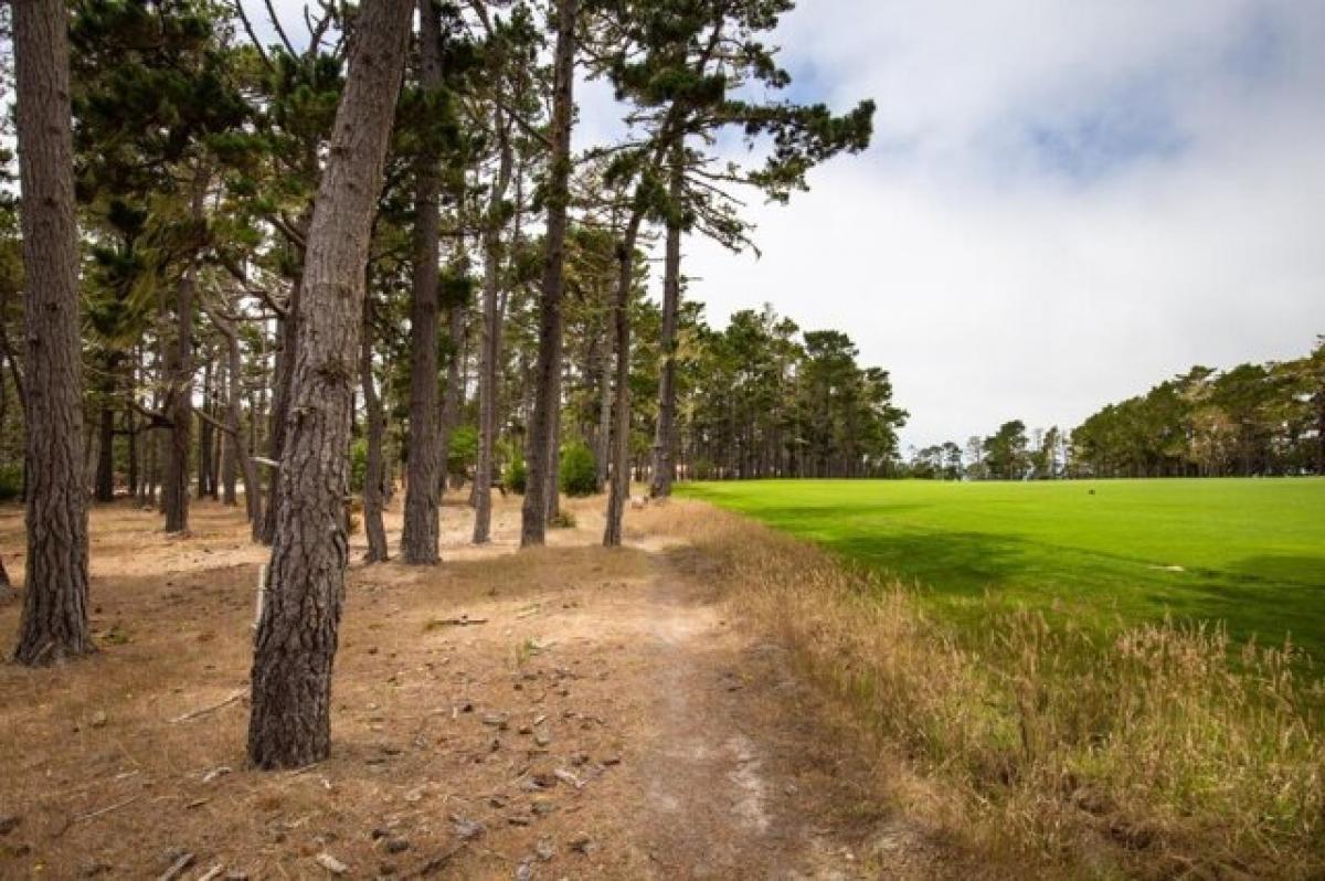 Picture of Residential Land For Sale in Pebble Beach, California, United States