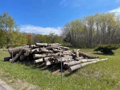 Residential Land For Sale in Stanwood, Michigan