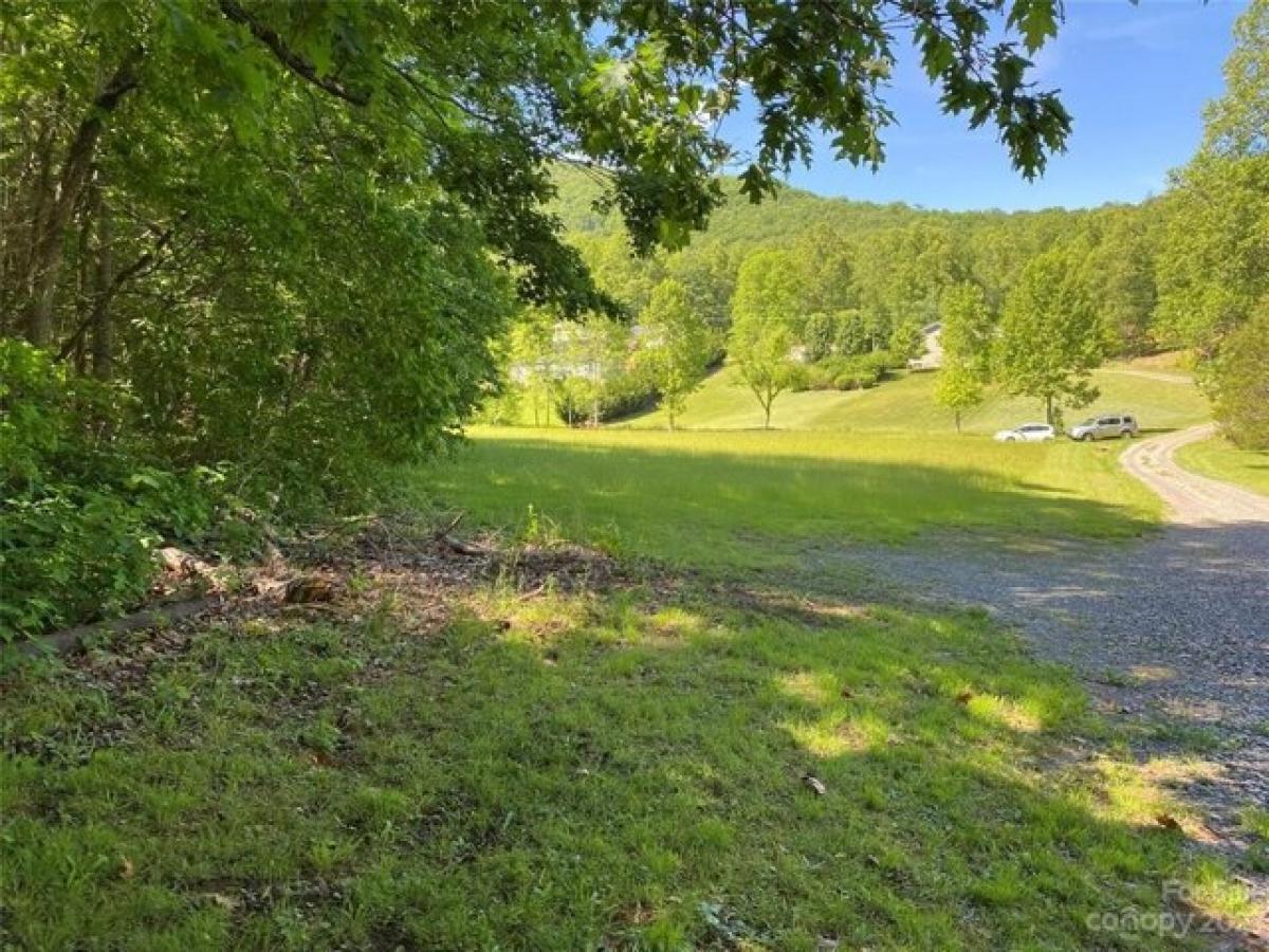 Picture of Residential Land For Sale in Leicester, North Carolina, United States