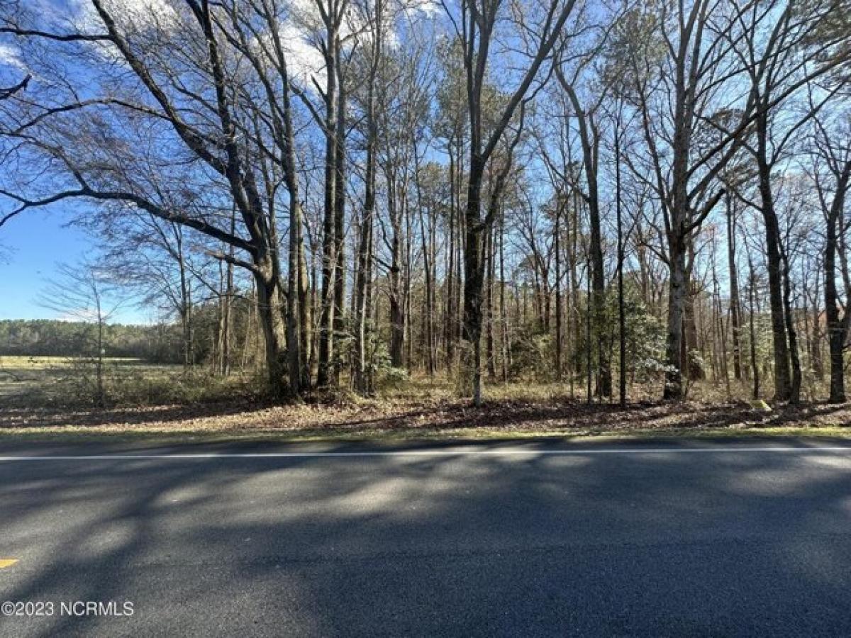 Picture of Residential Land For Sale in Woodland, North Carolina, United States