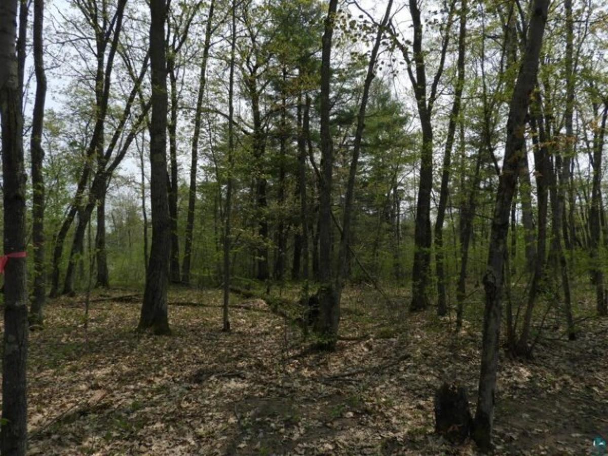 Picture of Residential Land For Sale in Iron River, Wisconsin, United States