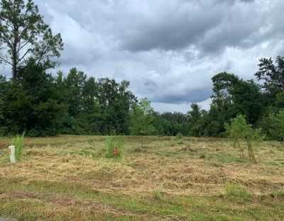 Residential Land For Sale in Wewahitchka, Florida