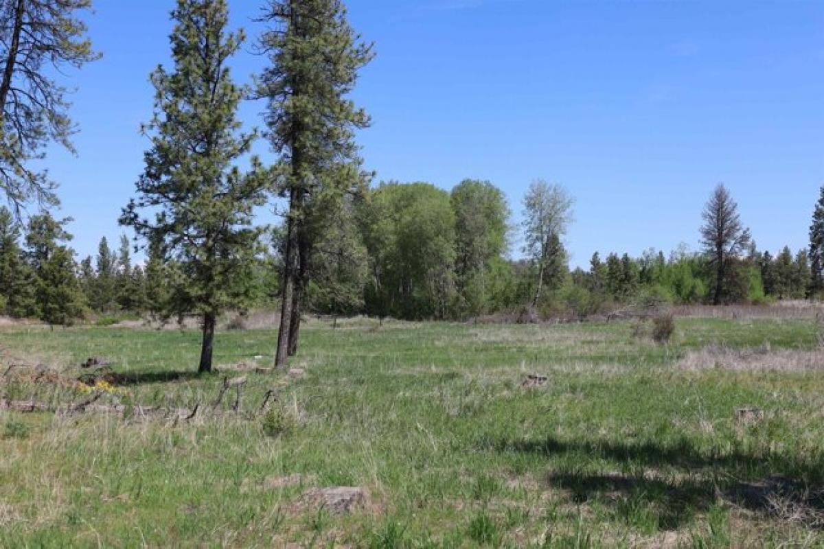 Picture of Residential Land For Sale in Cheney, Washington, United States