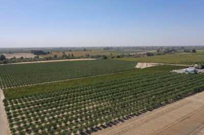 Residential Land For Sale in Madera, California