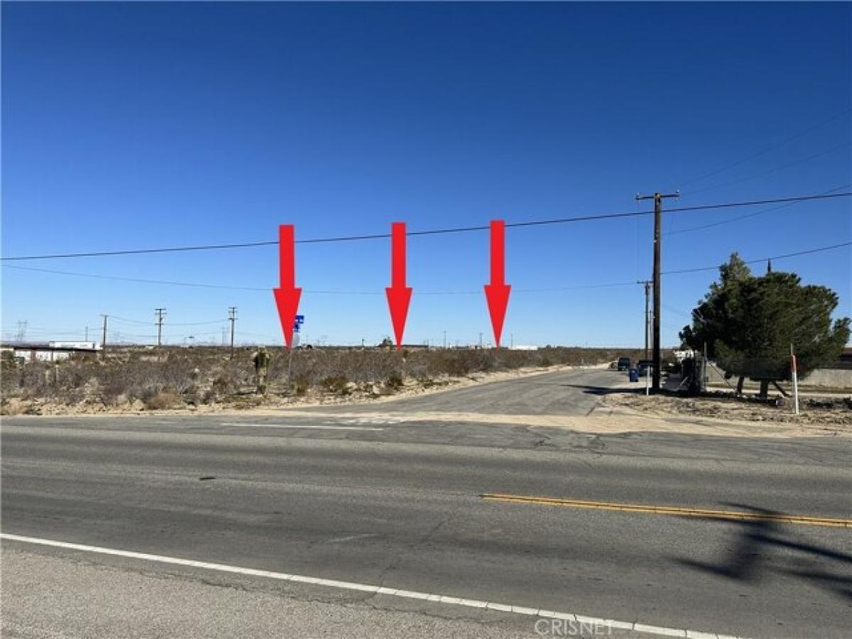 Picture of Residential Land For Sale in Pearblossom, California, United States