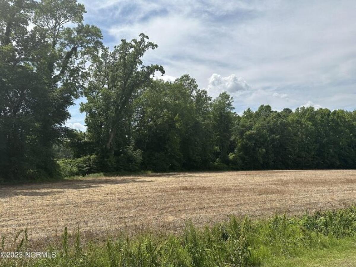 Picture of Residential Land For Sale in Murfreesboro, North Carolina, United States