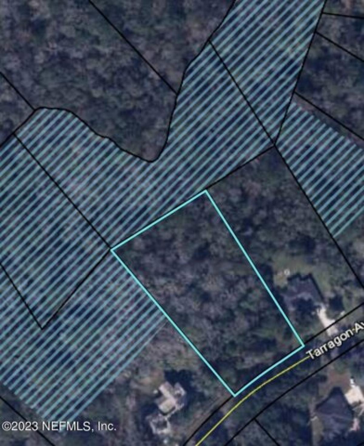 Picture of Residential Land For Sale in Middleburg, Florida, United States
