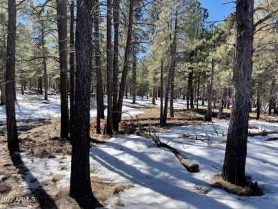 Residential Land For Sale in Forest Lakes, Arizona