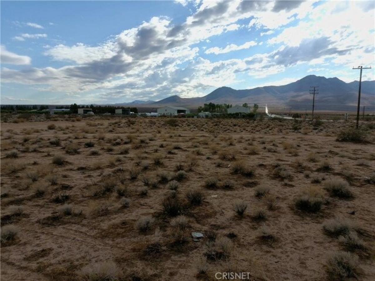 Picture of Residential Land For Sale in Inyokern, California, United States