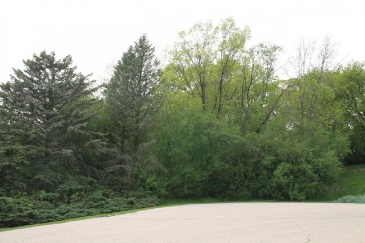 Picture of Residential Land For Sale in Pewaukee, Wisconsin, United States