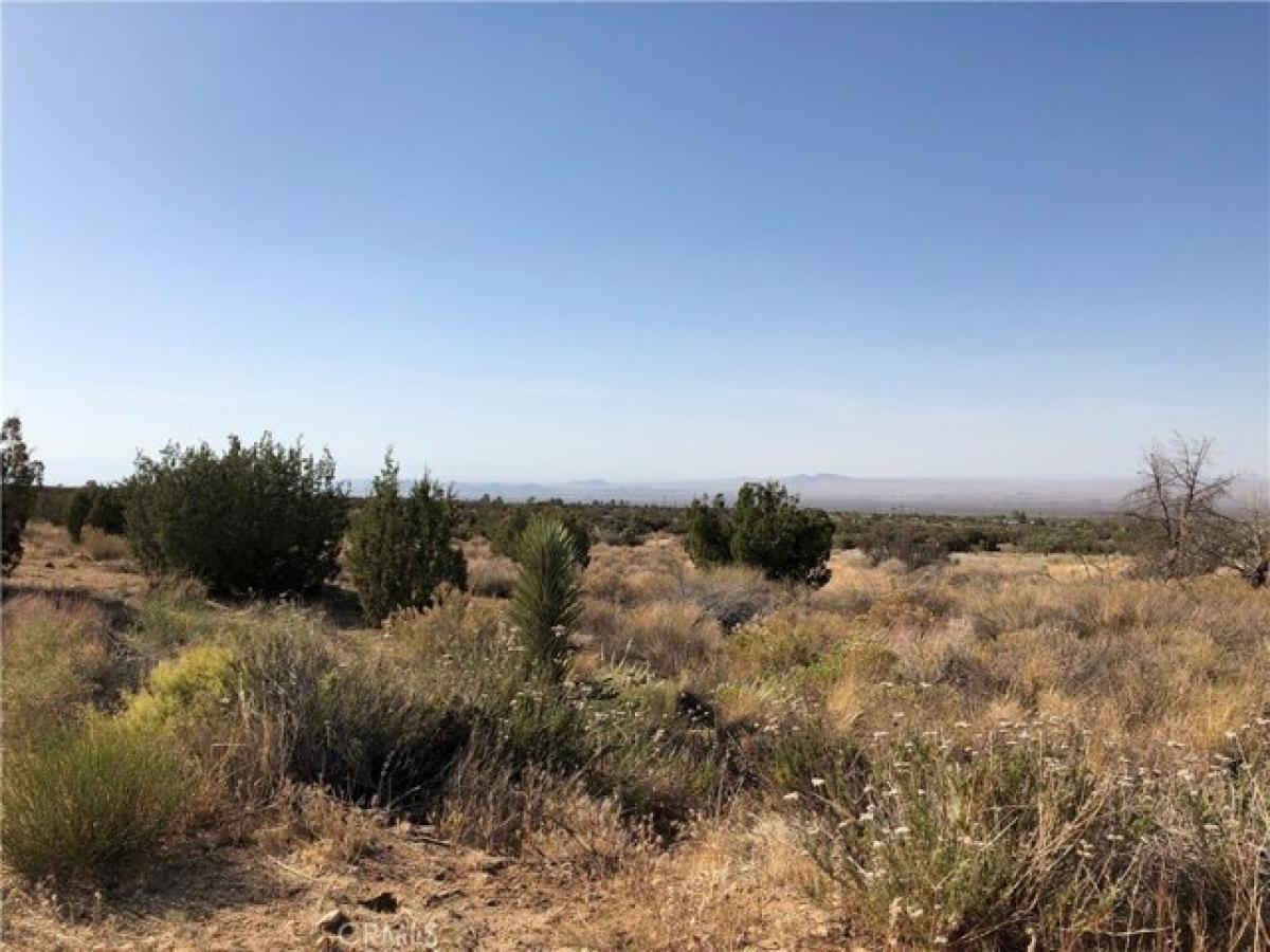 Picture of Residential Land For Sale in Llano, California, United States