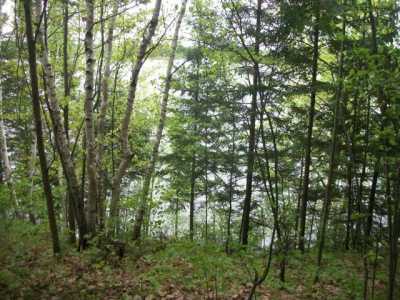 Residential Land For Sale in Tripoli, Wisconsin