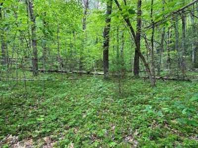 Residential Land For Sale in Lake Lure, North Carolina