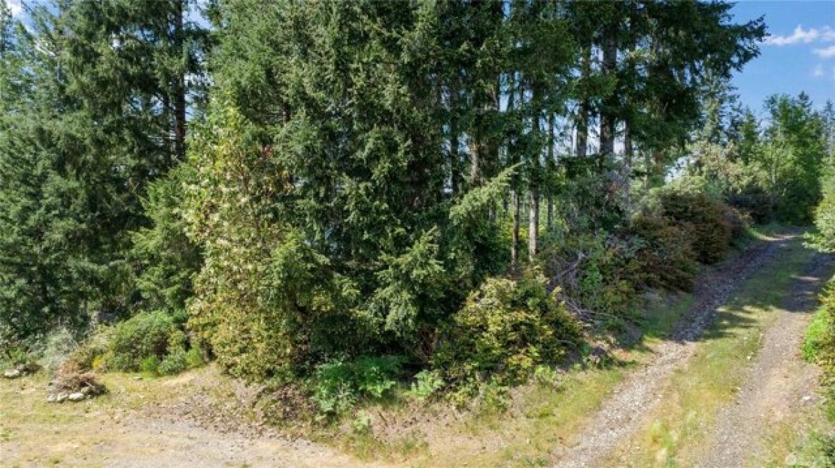 Picture of Residential Land For Sale in Grapeview, Washington, United States