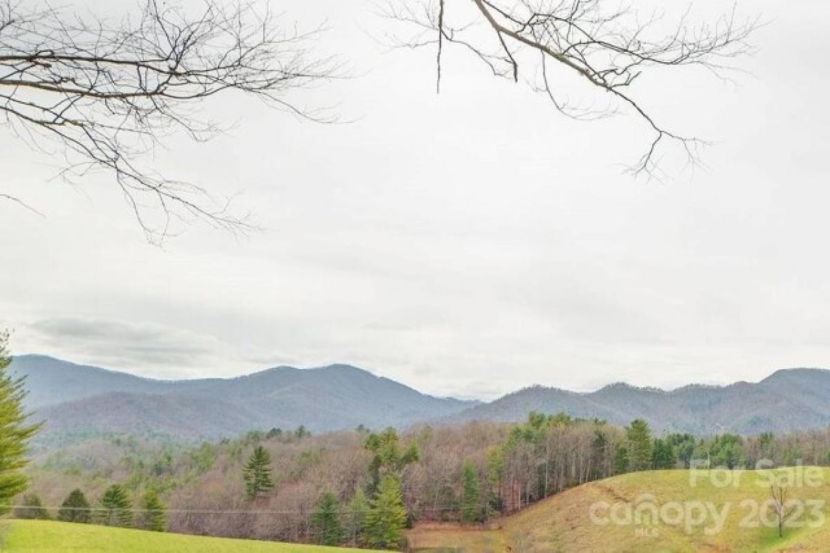 Picture of Home For Sale in Green Mountain, North Carolina, United States