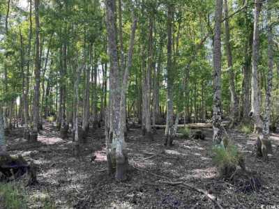 Residential Land For Sale in Andrews, South Carolina