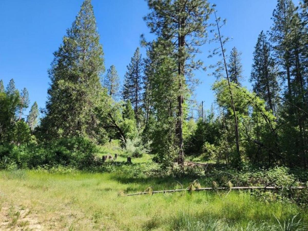 Picture of Residential Land For Sale in West Point, California, United States