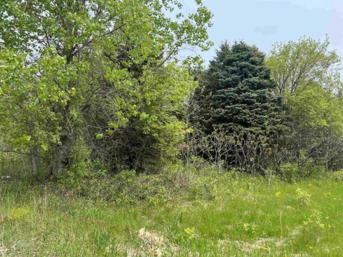 Picture of Residential Land For Sale in Clayton, Wisconsin, United States
