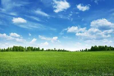 Residential Land For Sale in Salem, Michigan