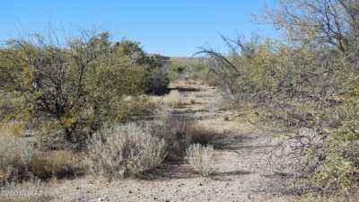 Residential Land For Sale in Catalina, Arizona