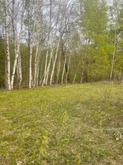 Residential Land For Sale in Crandon, Wisconsin
