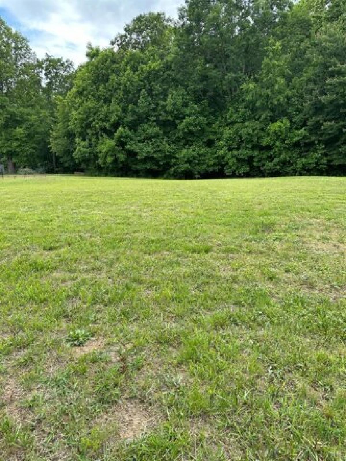 Picture of Residential Land For Sale in Monroe, Virginia, United States