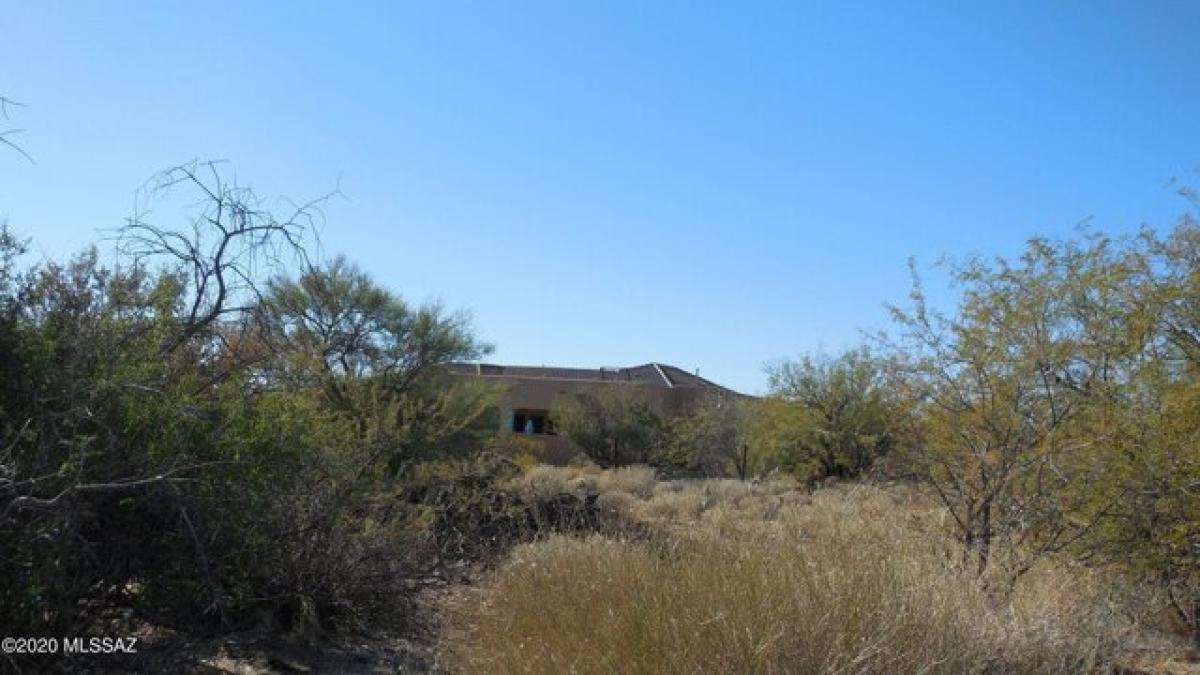 Picture of Residential Land For Sale in Catalina, Arizona, United States
