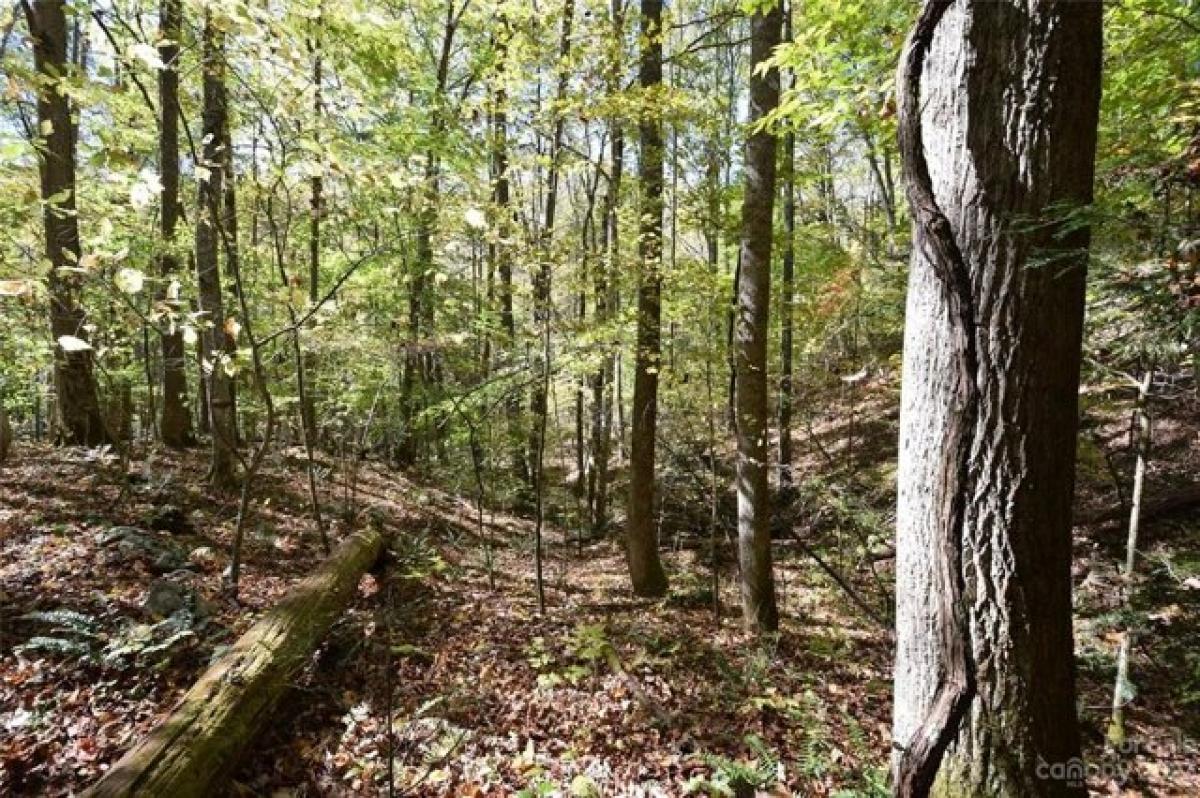 Picture of Residential Land For Sale in Green Mountain, North Carolina, United States
