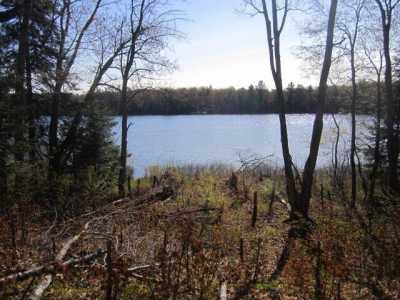 Residential Land For Sale in Seney, Michigan