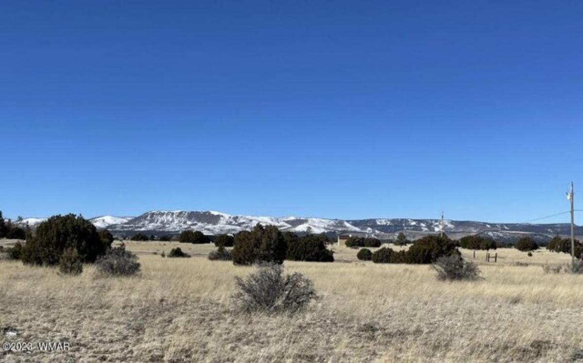 Picture of Residential Land For Sale in Nutrioso, Arizona, United States