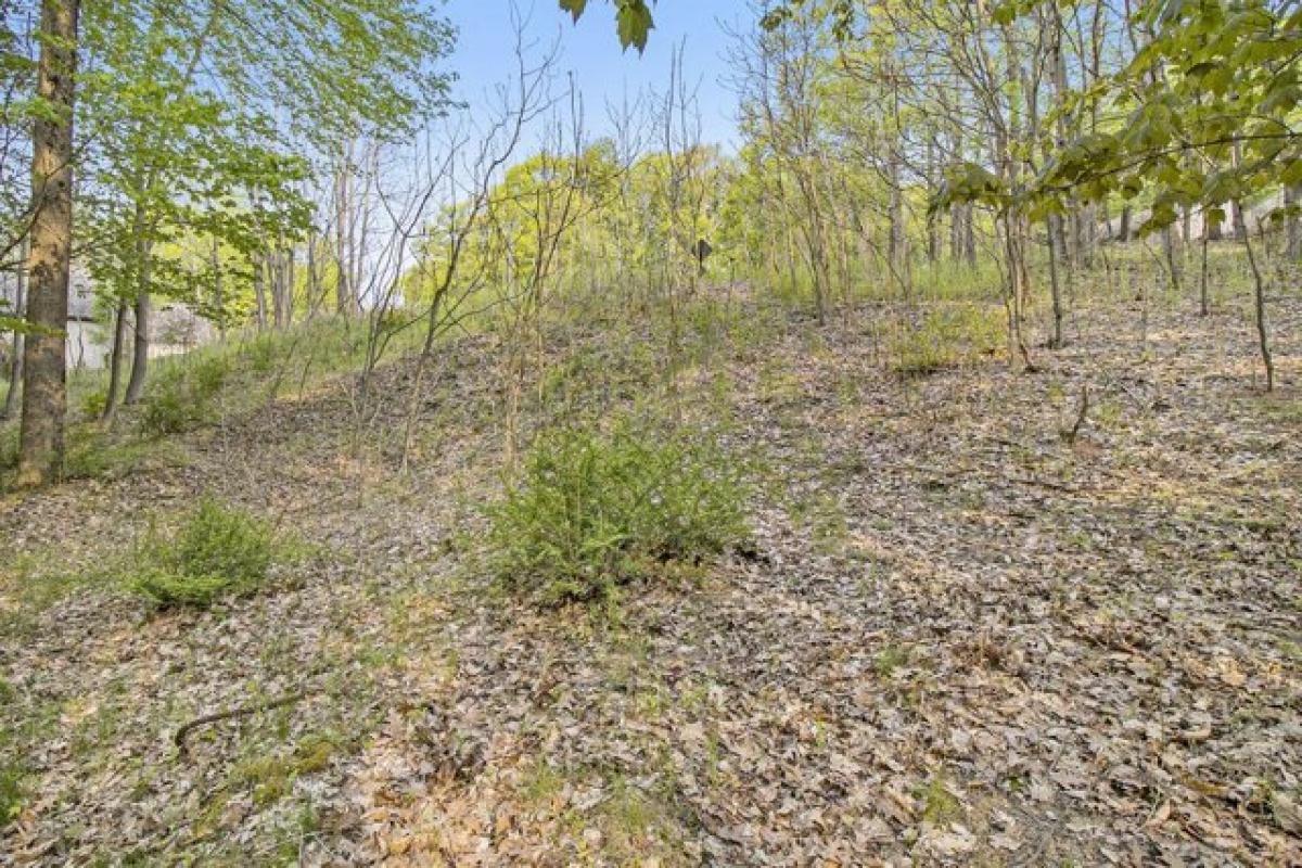 Picture of Residential Land For Sale in Ludington, Michigan, United States