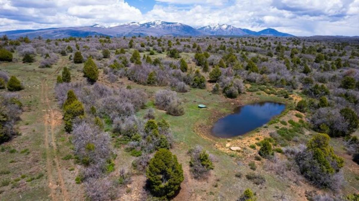 Picture of Home For Sale in Hesperus, Colorado, United States