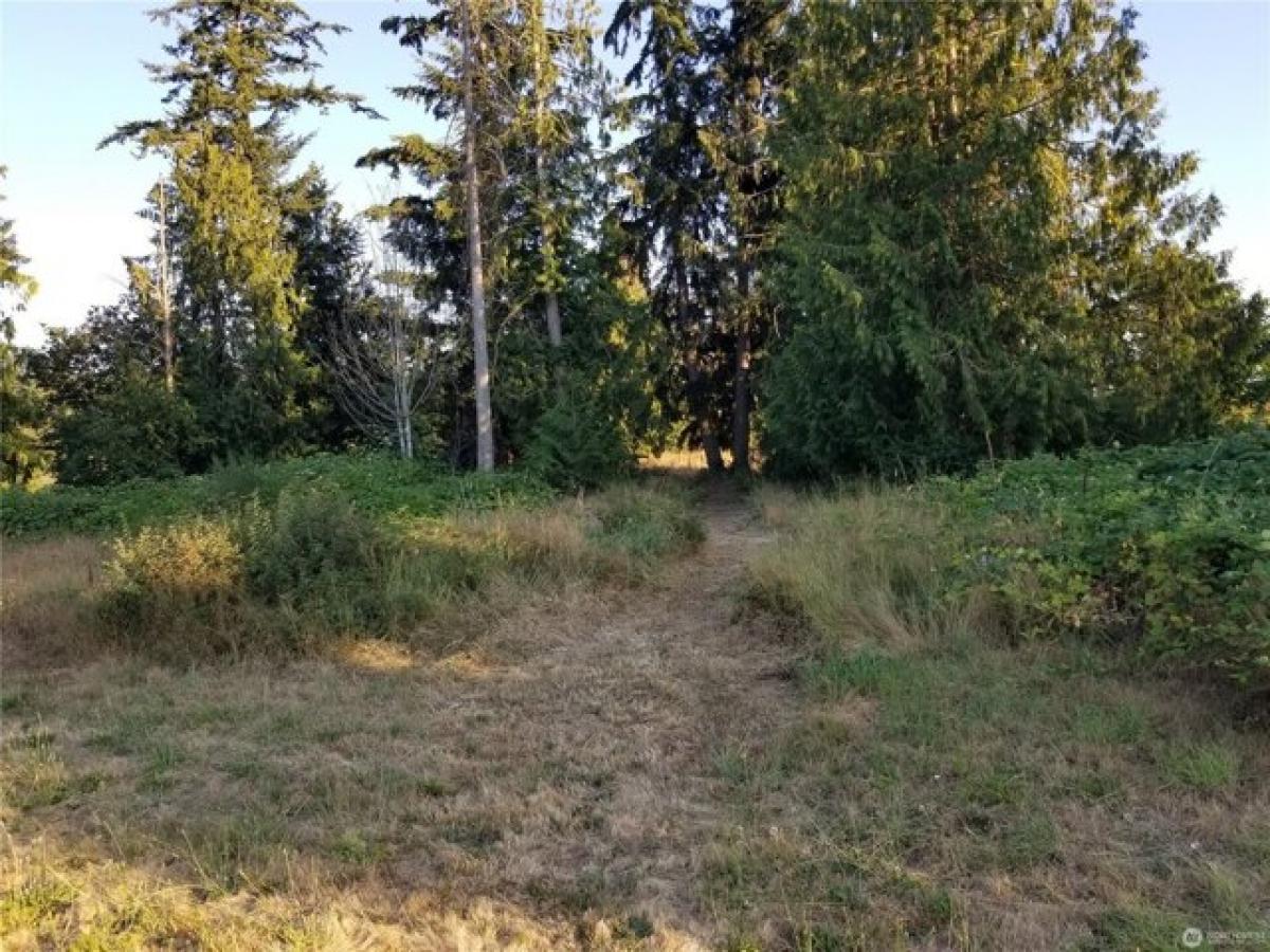 Picture of Residential Land For Sale in Bonney Lake, Washington, United States